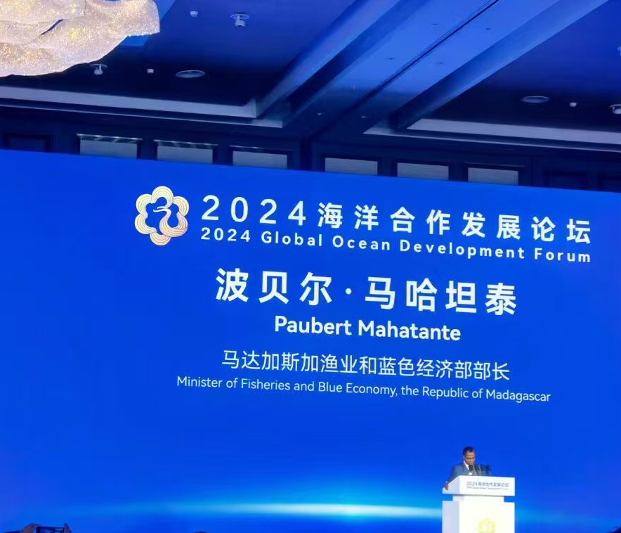 图片7