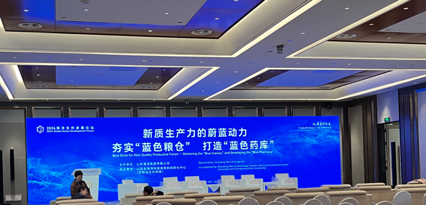 图片10