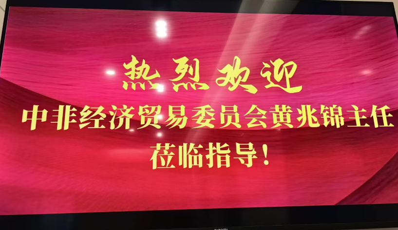 新1